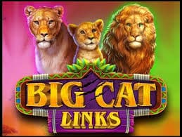 《大猫连线》游戏简介：精选野性主题新秀-球速体育