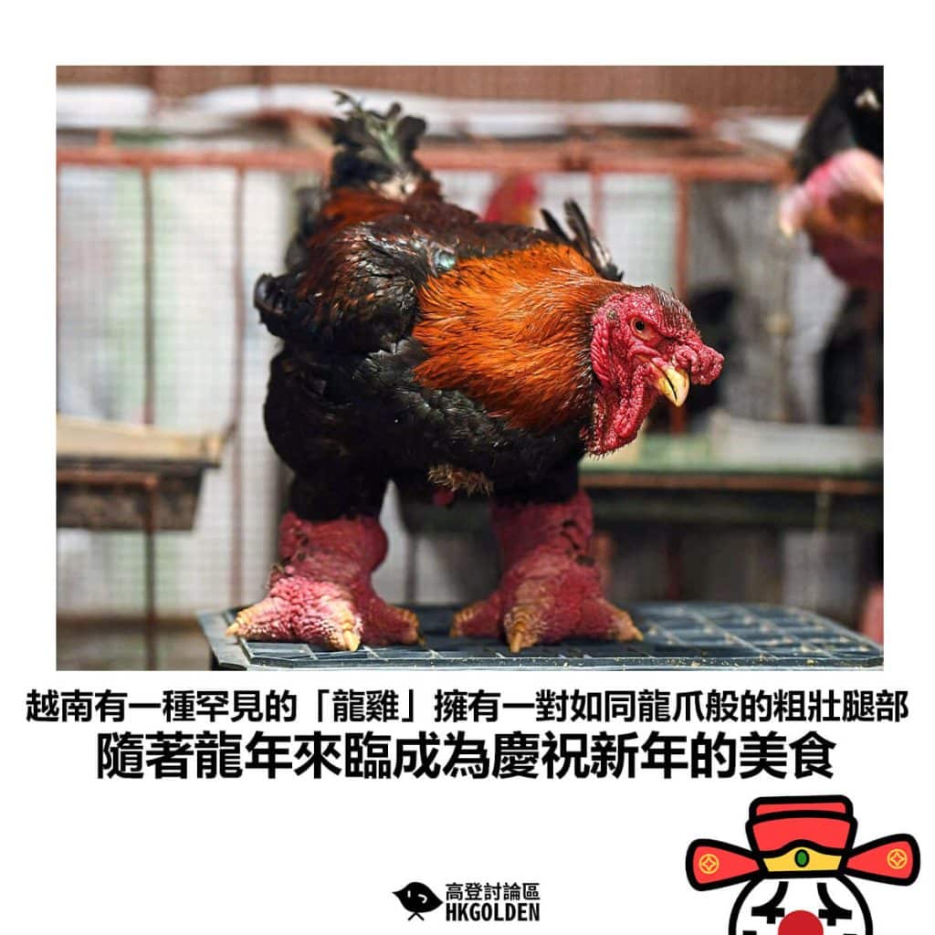 三行鳞鸡的优劣-球速