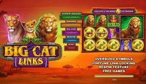 为什么《大猫连线》会被评为7月必玩-球速体育